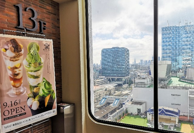 東京都豊島区・東武百貨店の13階からの眺め