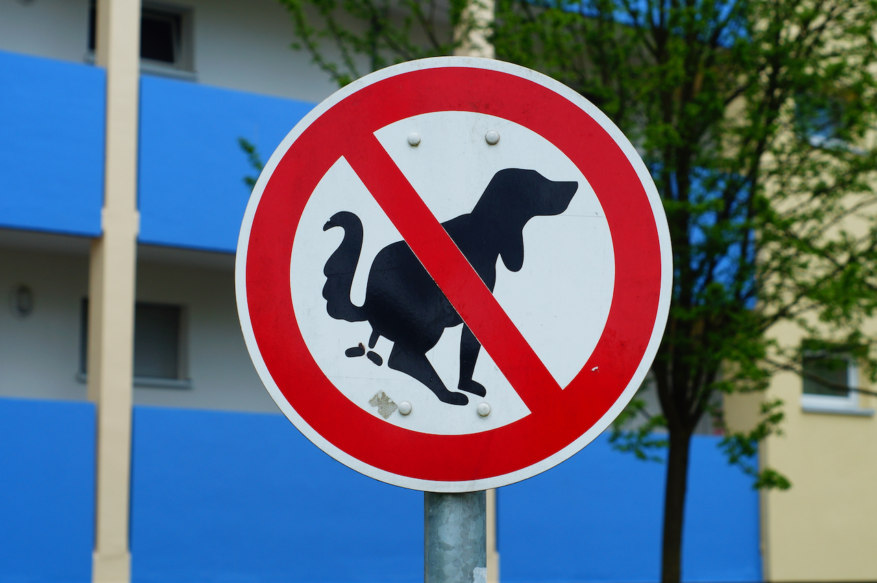 犬のフン禁止の標識