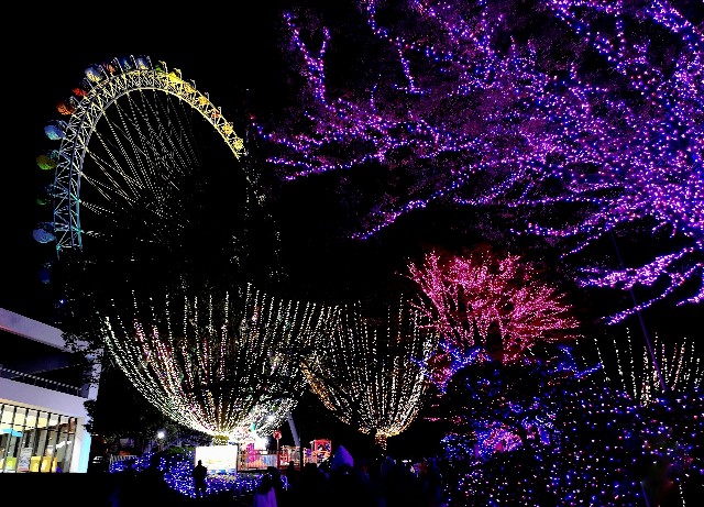 東京都稲城市・「よみうりランド」ジュエルミネーション　希望の輝き！～多様な光のシンフォニー～（2021年10月21日～2022年4月3日）大観覧車とワイングラスのデザインの木