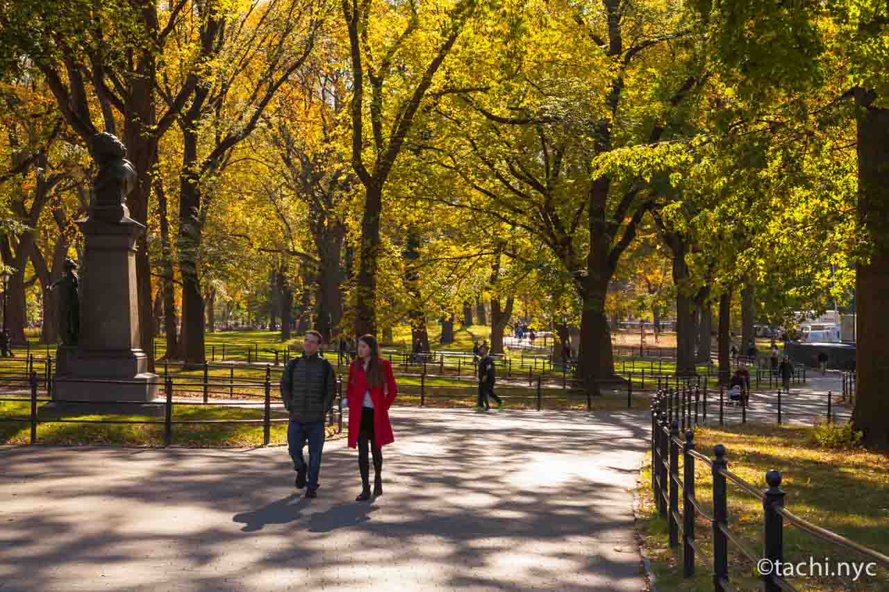 ニューヨーク市マンハッタン区セントラルパーク　紅葉時　2021年11月