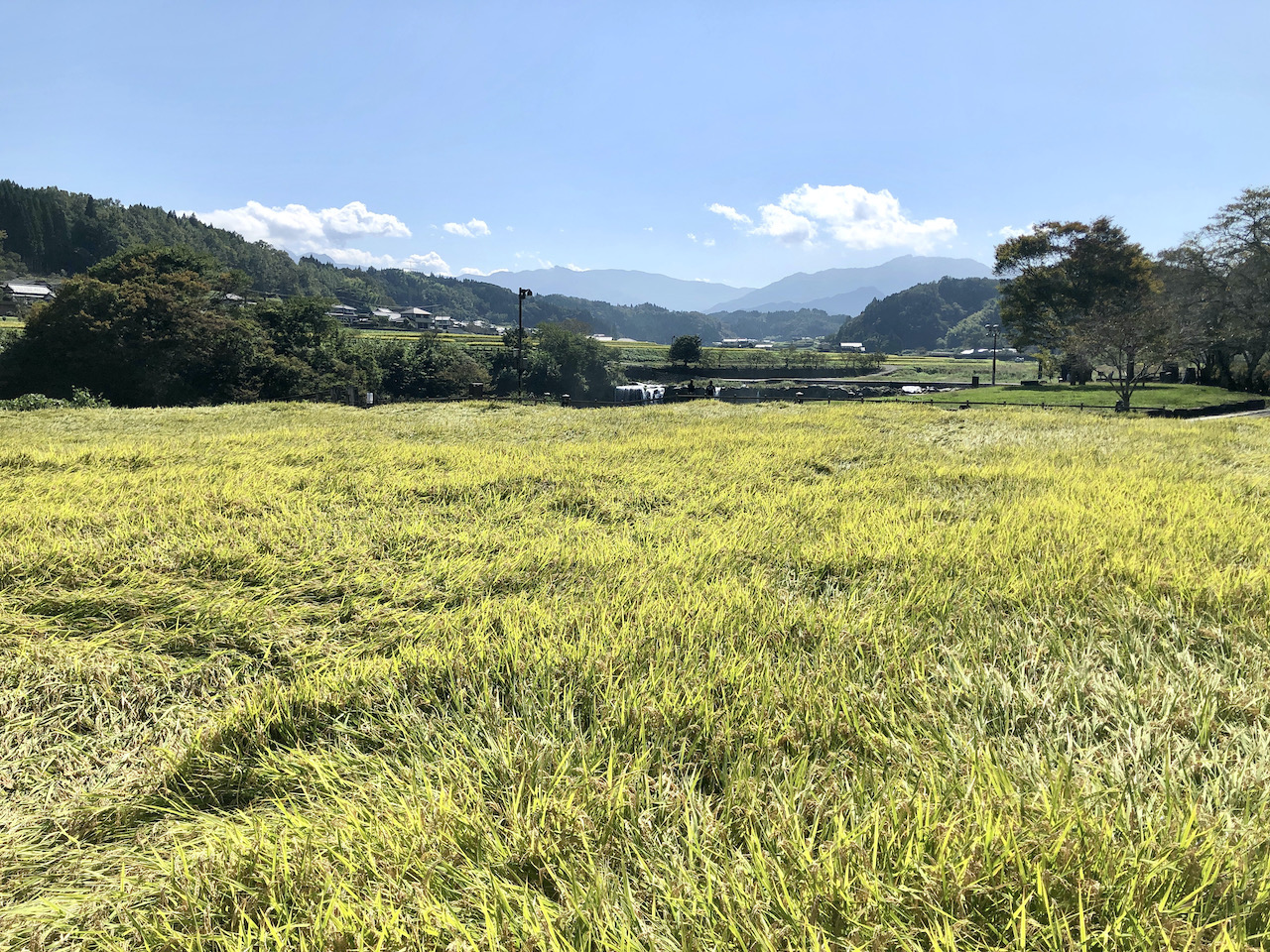 大分 原尻の滝