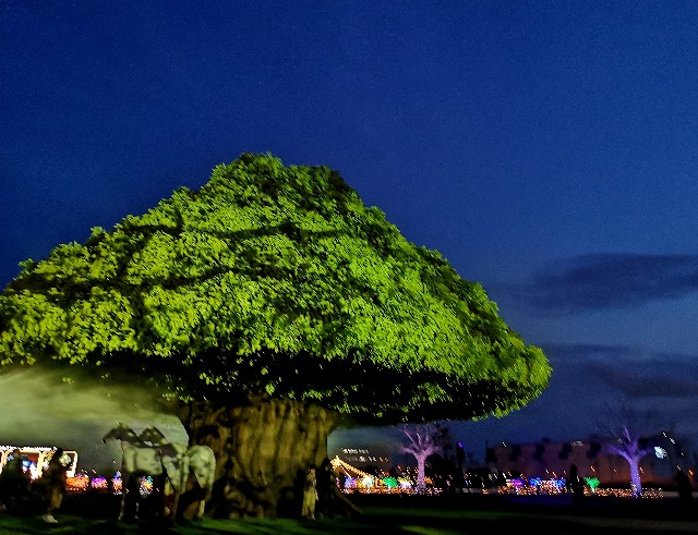 東京都品川区・大井競馬場「東京メガイルミ2021-2022」メガイルミショー「光と遊ぶ大樹」