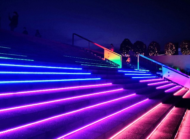 東京都品川区・大井競馬場「東京メガイルミ2021-2022」虹色の大階段