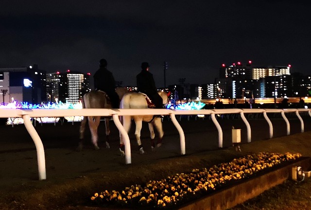 東京都品川区・大井競馬場「東京メガイルミ2021-2022」誘導馬と夜景