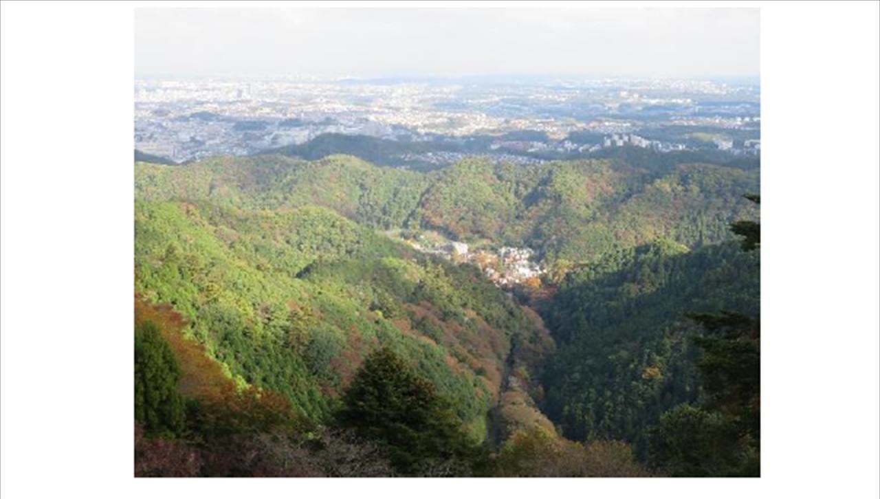 高尾山展望台からの眺め11月5日撮影