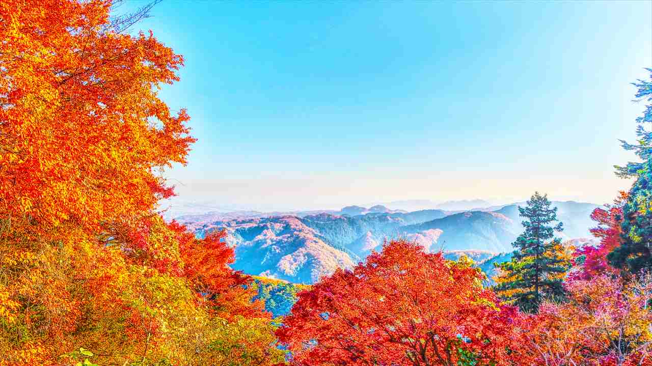 高尾山・御岳山の紅葉を満喫！もみじまつり・BBQ・お土産情報も