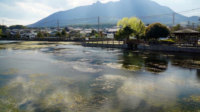 日本一の 連載 陥没湖比べ 最大 は琵琶湖ですが 最小 は一体 Tabizine 人生に旅心を