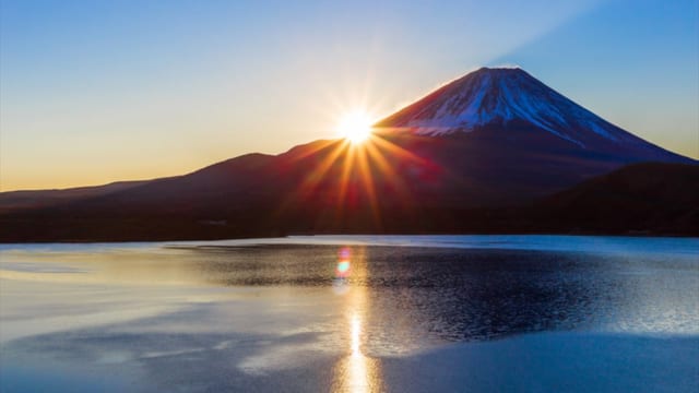 11月8日出生的星座剖析：了解你的星座的力量和弱点 (11月8日出生的名人)
