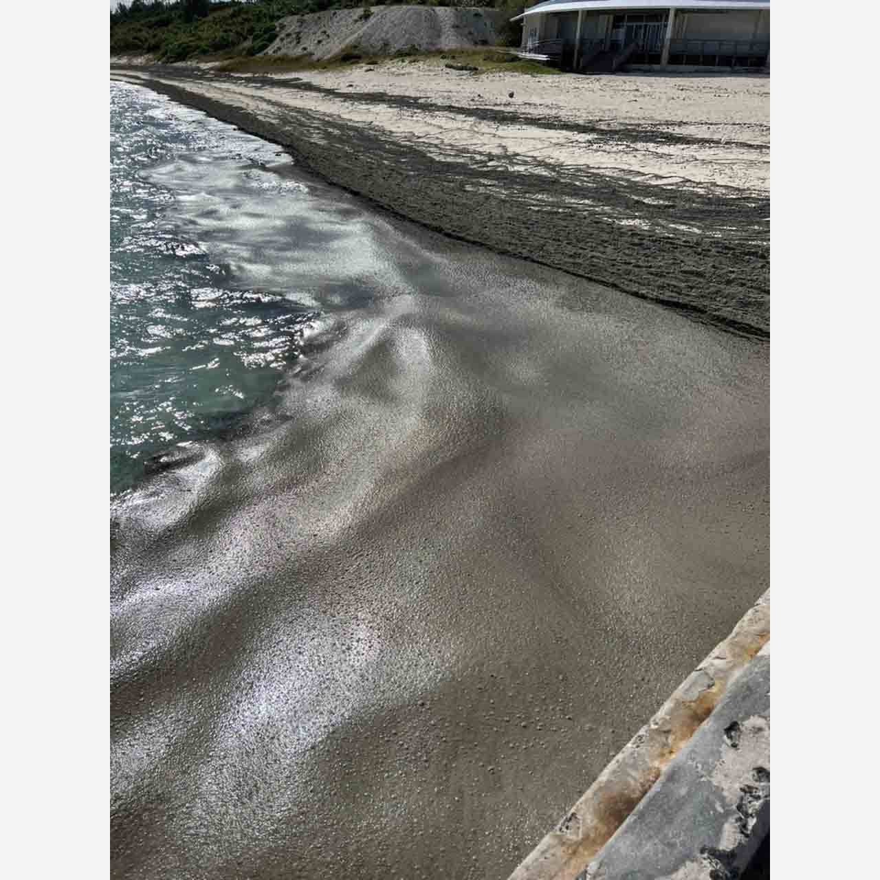沖縄県 水納島 美しい砂浜を取り戻したい 観光事業復興プロジェクト Tabizine 人生に旅心を