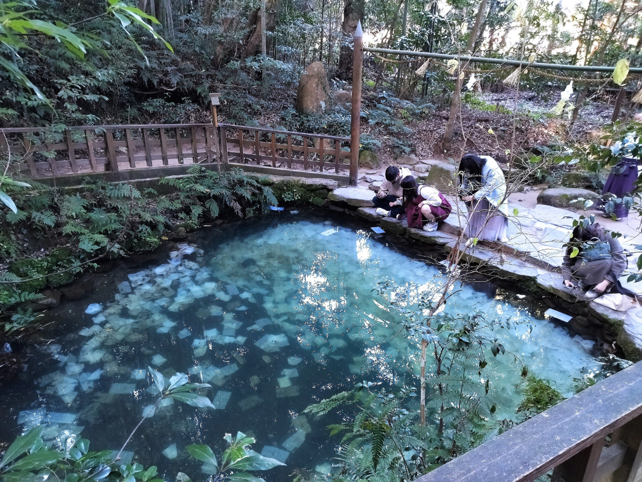 八重垣神社鏡の池2