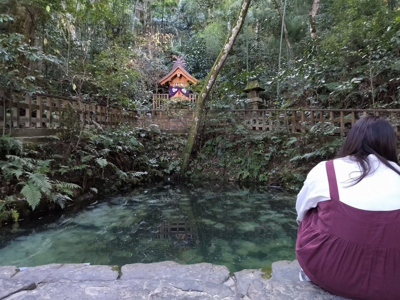 八重垣神社鏡の池5