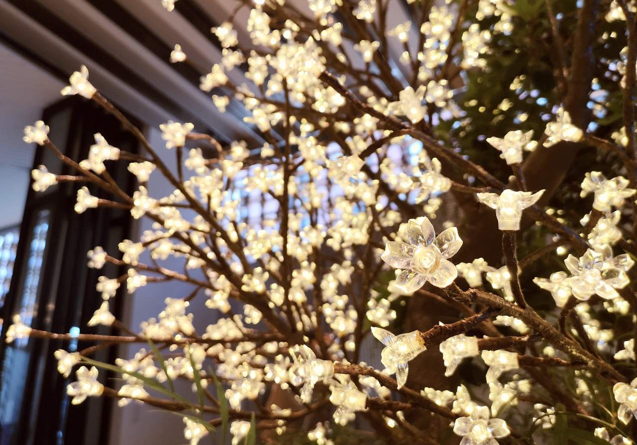 東京都港区・「INTERSECT BY LEXUS – TOKYO」2022年桜の灯りの木