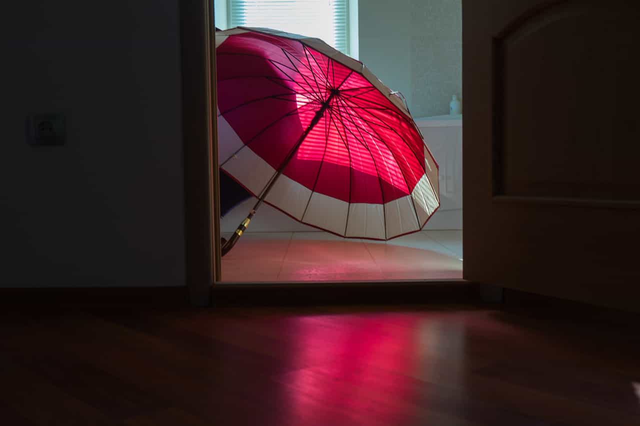 室内で乾かしている傘