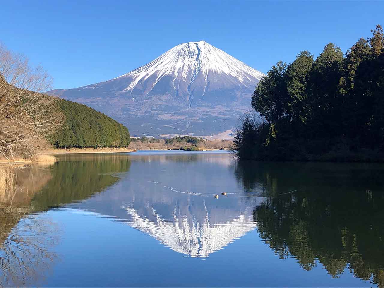 田貫湖キャンプ場を徹底レポ！マニアが明かす富士山の絶景＆おすすめポイント