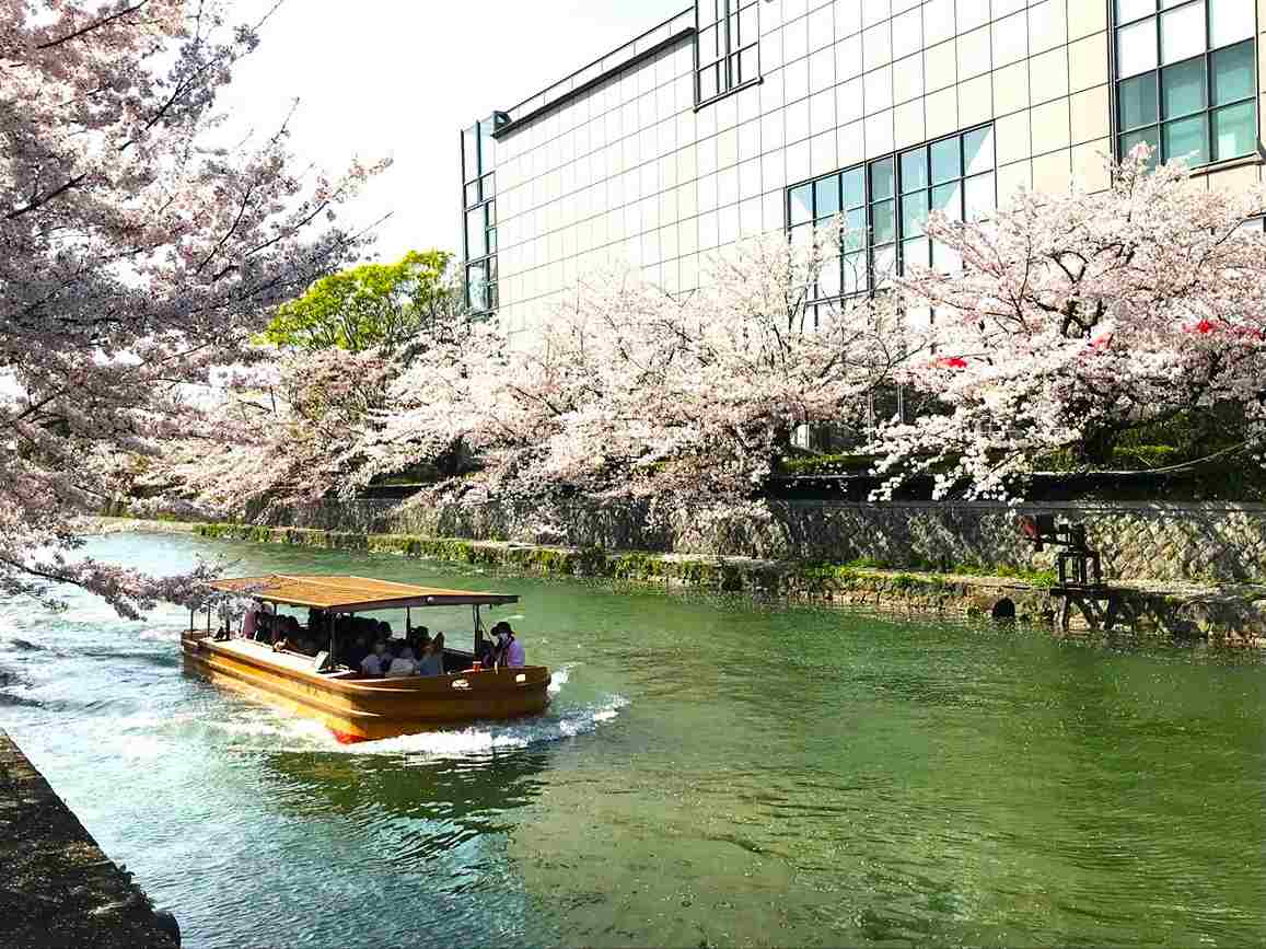 桜を望める特等席！テラスでカフェを楽しめる京都国立近代美術館内「café de 505」