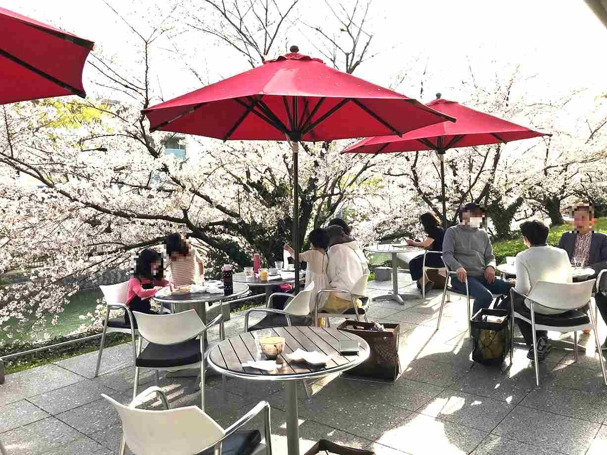【京都】桜を愛でながらランチ＆カフェを楽しめる名店8選！美術館・寺・ホテル・邸宅も現地レポ