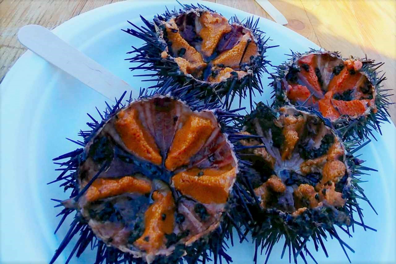 【日本が1番のウニ】実は世界で2番目に食すフランスで人気の「ウニ祭り」へ