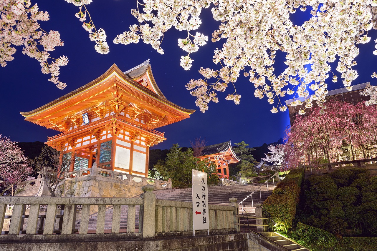 【2022年最新】京都の夜桜ライトアップ10選！名所から穴場まで徹底紹介