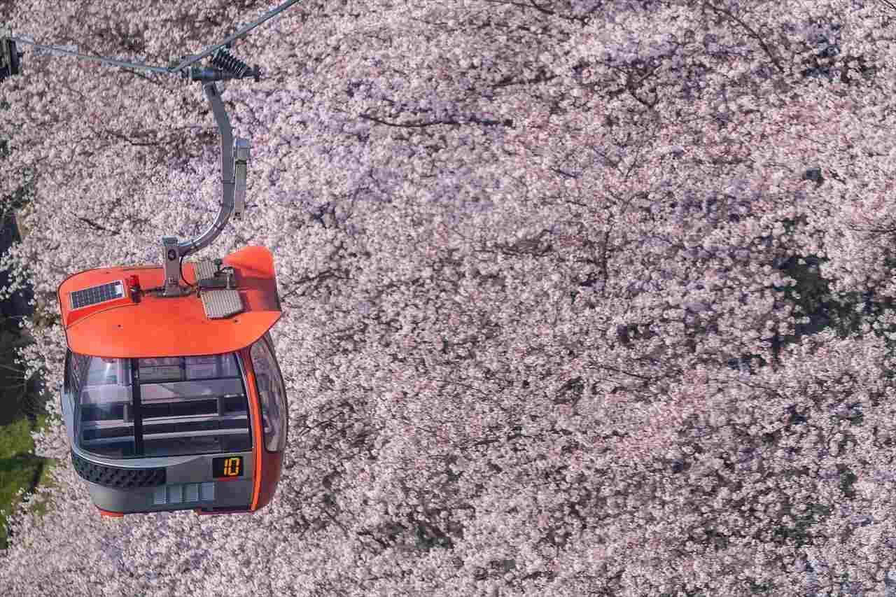史上最速のお花見も よみうりランド で夜桜ジュエルミネーション開催中 ガジェット通信 Getnews