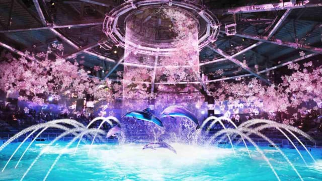 アクアパーク 454074-05-640x360.jpg