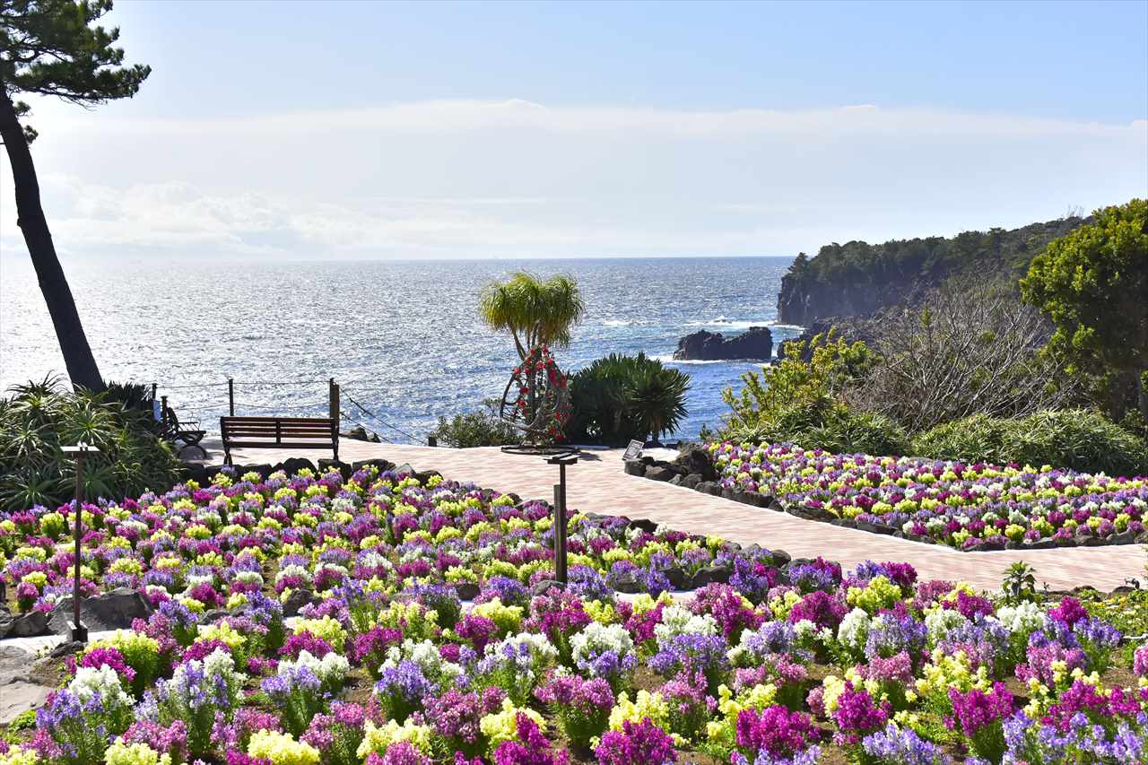 春のお出かけは「城ヶ島海岸」がいいかも!?花×絶景の人気スポット徹底紹介