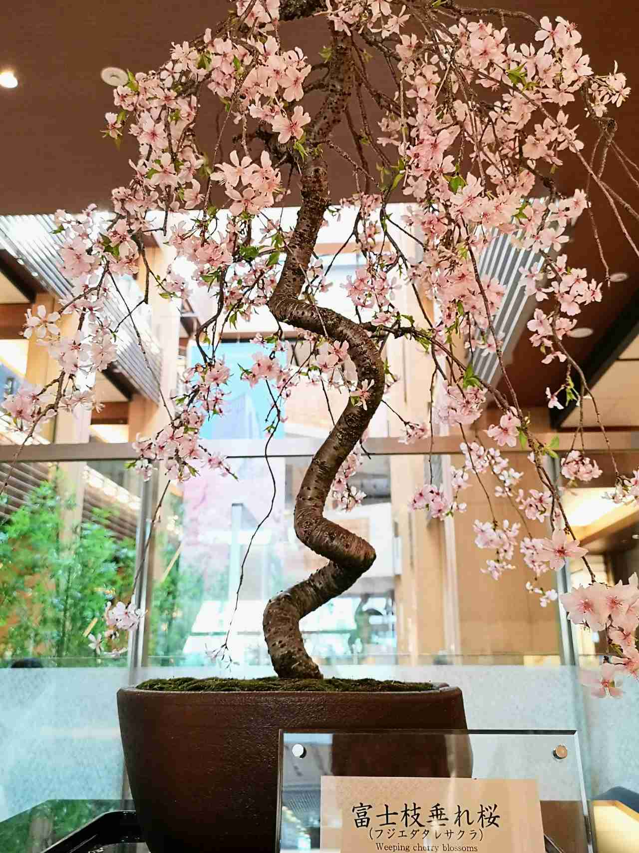 ガレリア館内の桜のオブジェ