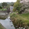 和歌山県ぶつぶつ川