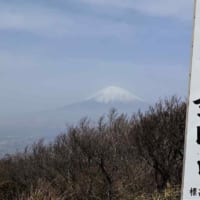 看板越し富士山