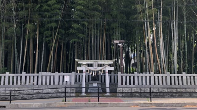 日本の美しい禁足地vol 3 緑の竹藪が涼やか 千葉県市川市の 八幡の藪知らず Tabizine 人生に旅心を