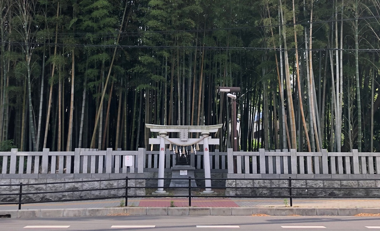 日本の美しい禁足地vol 3 緑の竹藪が涼やか 千葉県市川市の 八幡の藪知らず Tabizine 人生に旅心を