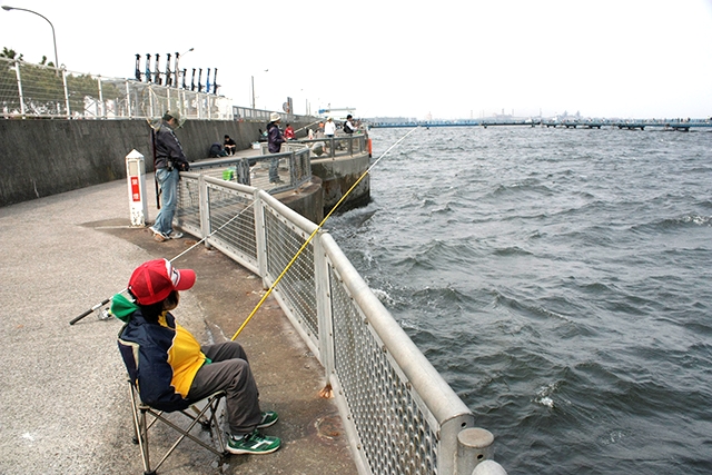 「東京湾」や「大阪湾」などの都市港湾で楽しむマダコ釣り【モバイルロッドで釣り入門】