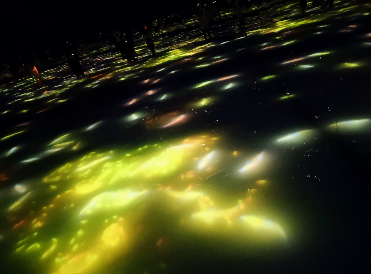 東京都江東区・「チームラボプラネッツ TOKYO DMM」、『人と共に踊る鯉によって描かれる水面のドローイング – Infinity』3