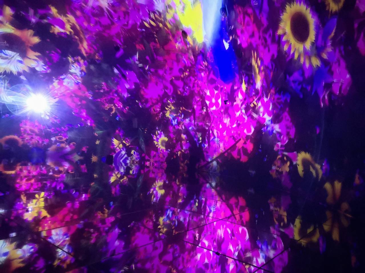 東京都江東区・「チームラボプラネッツ TOKYO DMM」、『Floating in the Falling Universe of Flowers』2