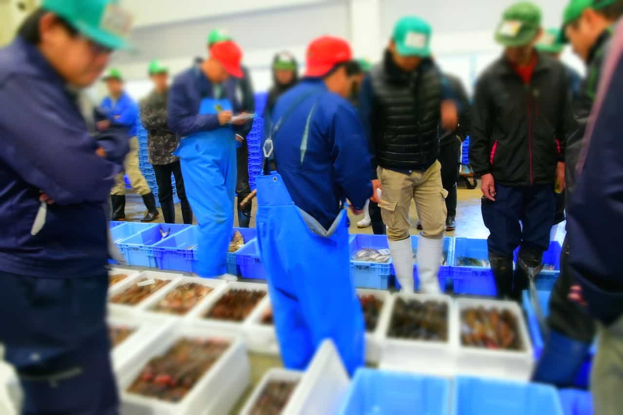 宮城県石巻市・石巻魚市場の様子