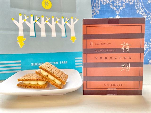 【阪急限定】シュガーバターの木　たっぷりショコラサンド横綱10入り10箱