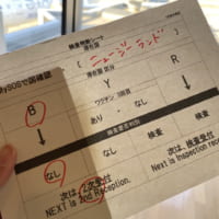 nz_成田空港2