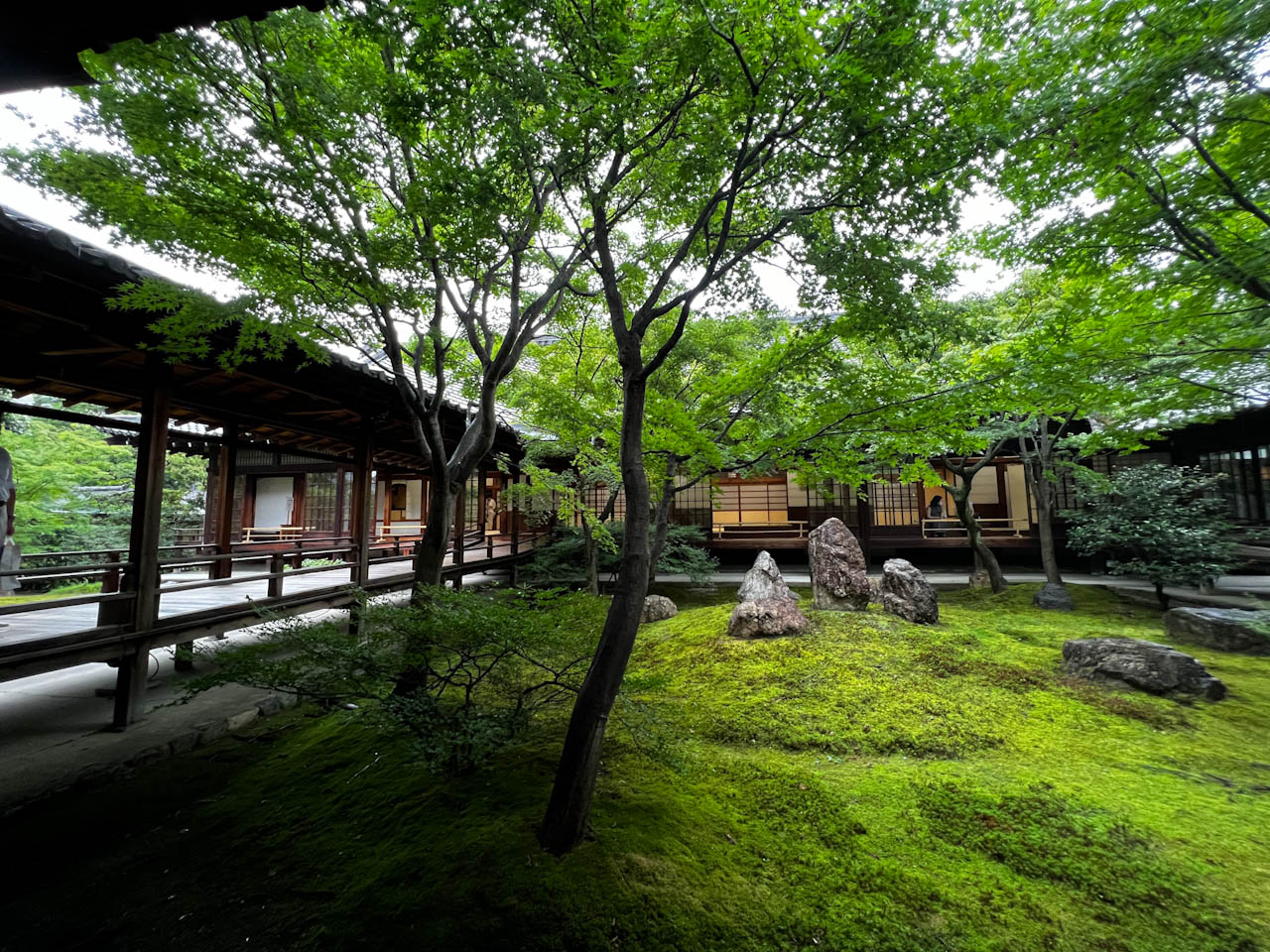 建仁寺の影で京都の“涼”を楽しもう！