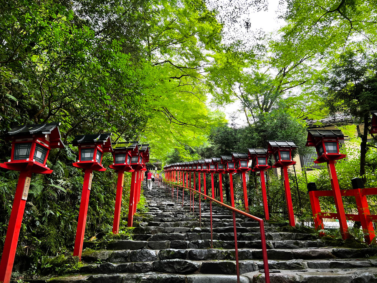 貴船神社といえば、春日灯篭が連なる石段の参道