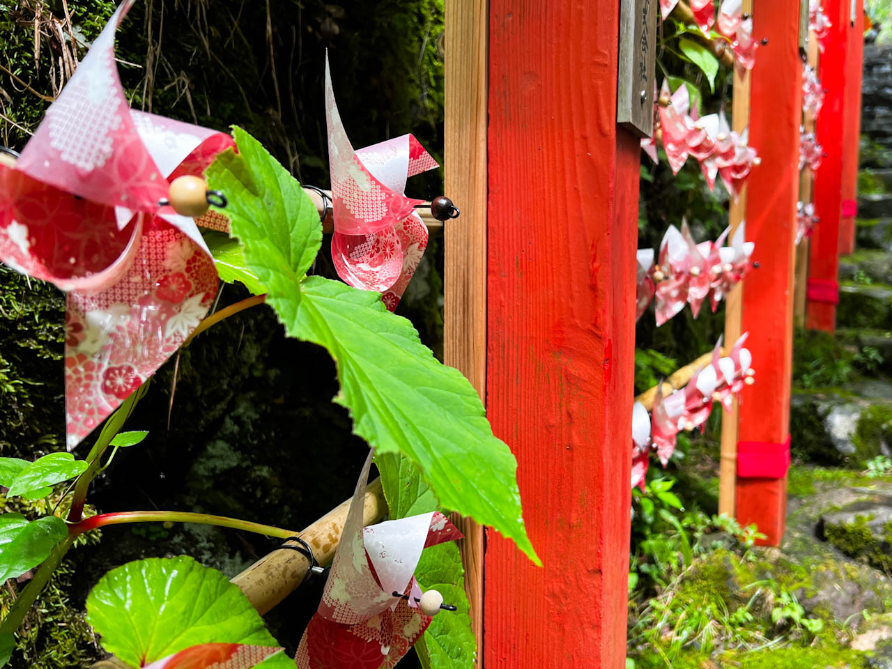 京都らしい友禅柄をあしらった赤い風車が、朱色の柱と、緑の葉に映えて綺麗