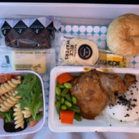 nz機内食2
