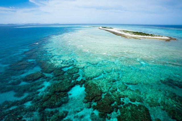 サンゴ礁のイメージ写真