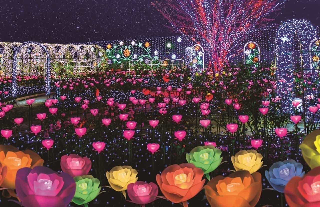 栃木県足利市あしかがフラワーパーク・光の花の庭