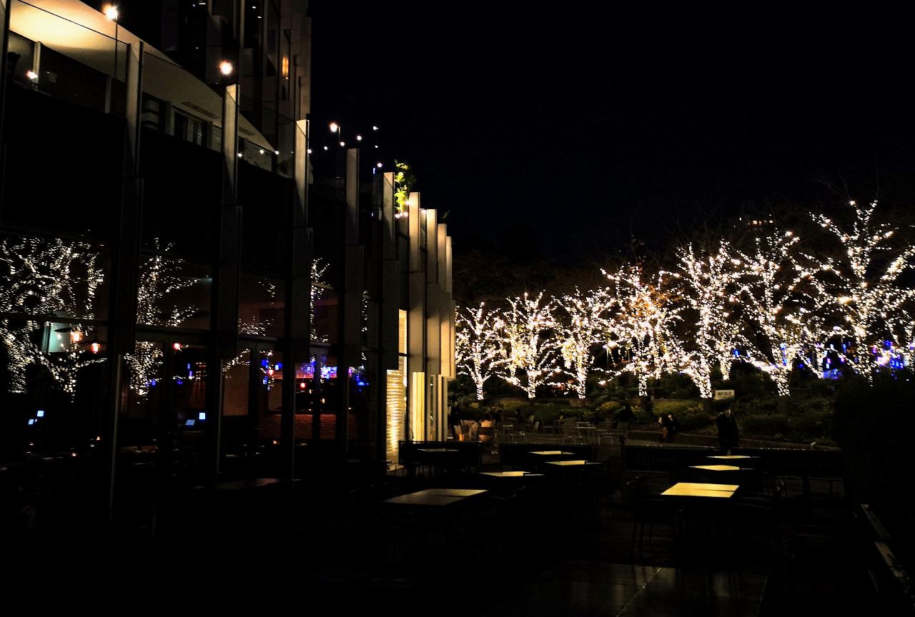 東京都港区・「東京ミッドタウン」MIDTOWN CHRISTMAS 2022（光の散歩道）3