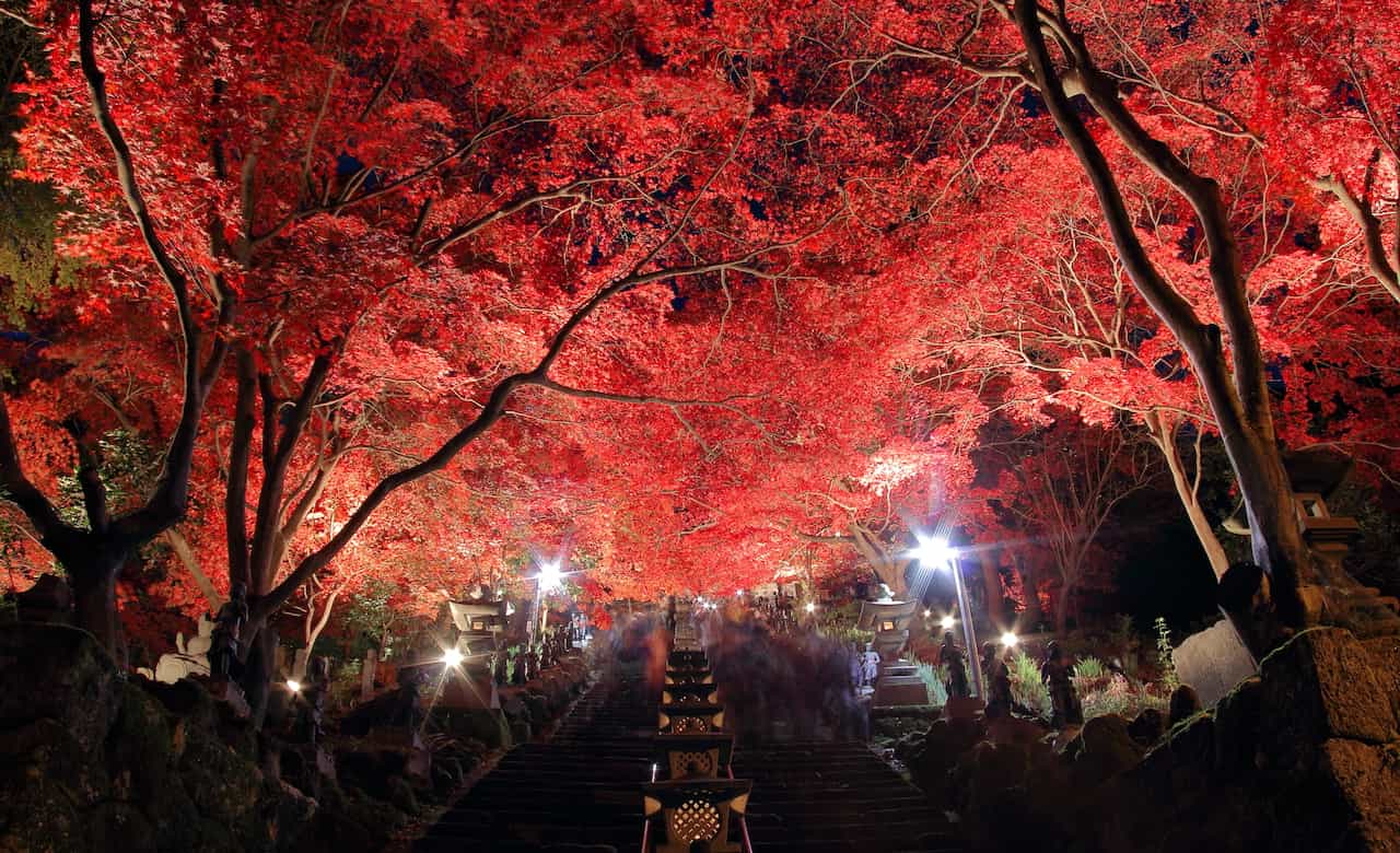 神奈川県大山の紅葉