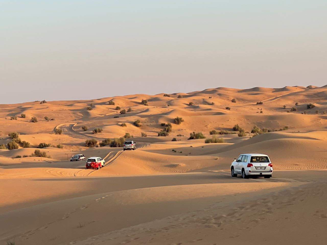 デザートサファリ、砂漠内を車で走る
