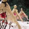 島根県・由志園の寒牡丹