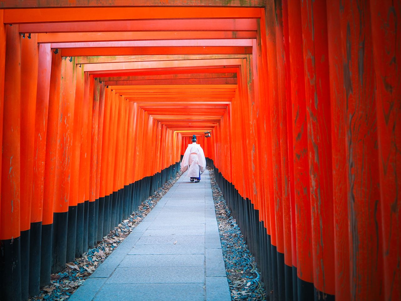 日本で一番神社が多い県はどこ？1位は京都ではない！？【都道府県ランキング】