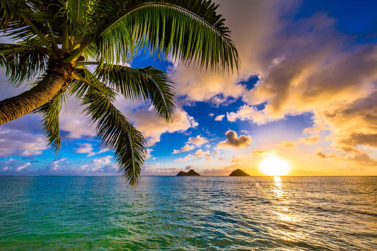 ハワイの自然のイメージ