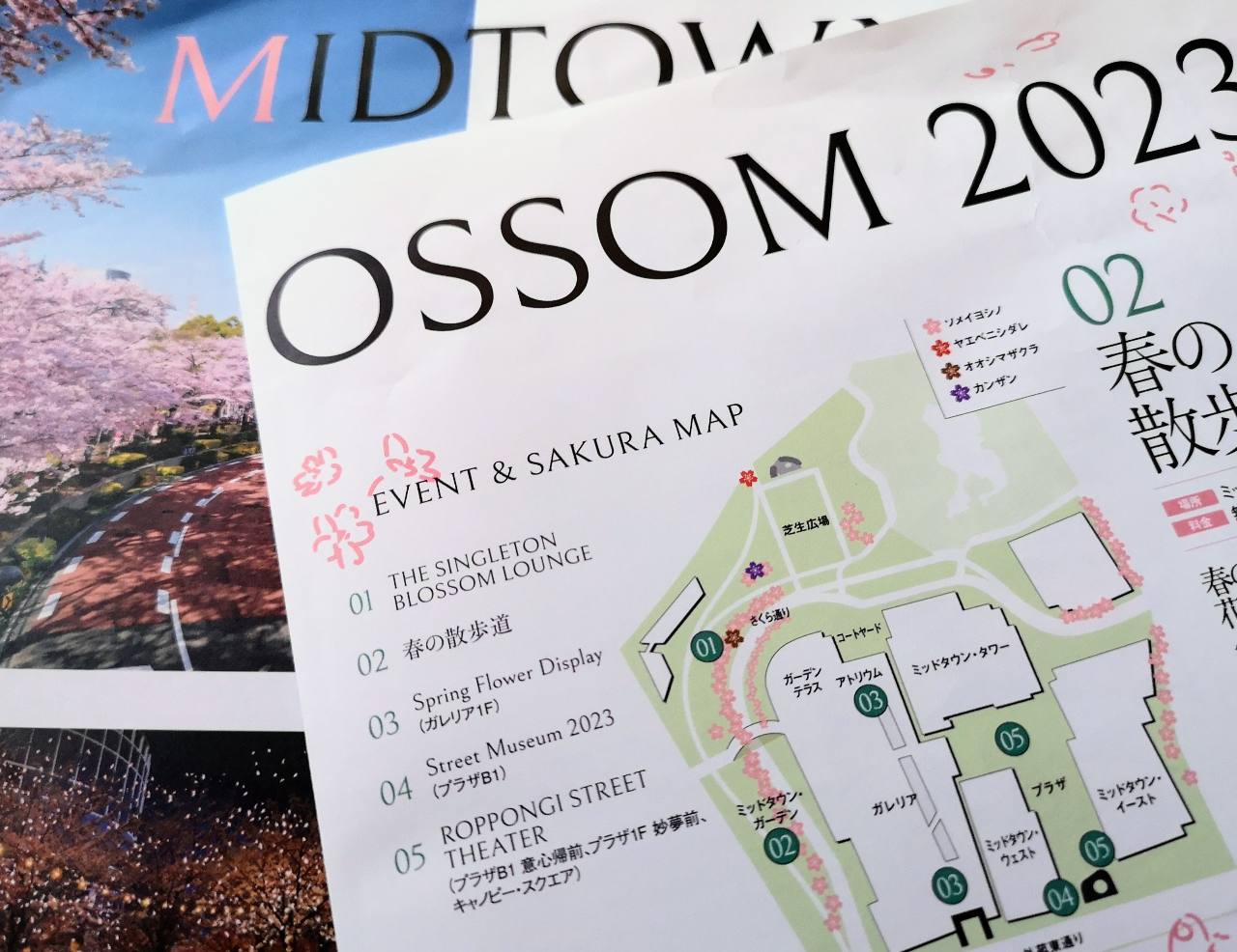 東京都港区・東京ミッドタウン「MIDTOWN BLOSSOM 2023」パンフレット