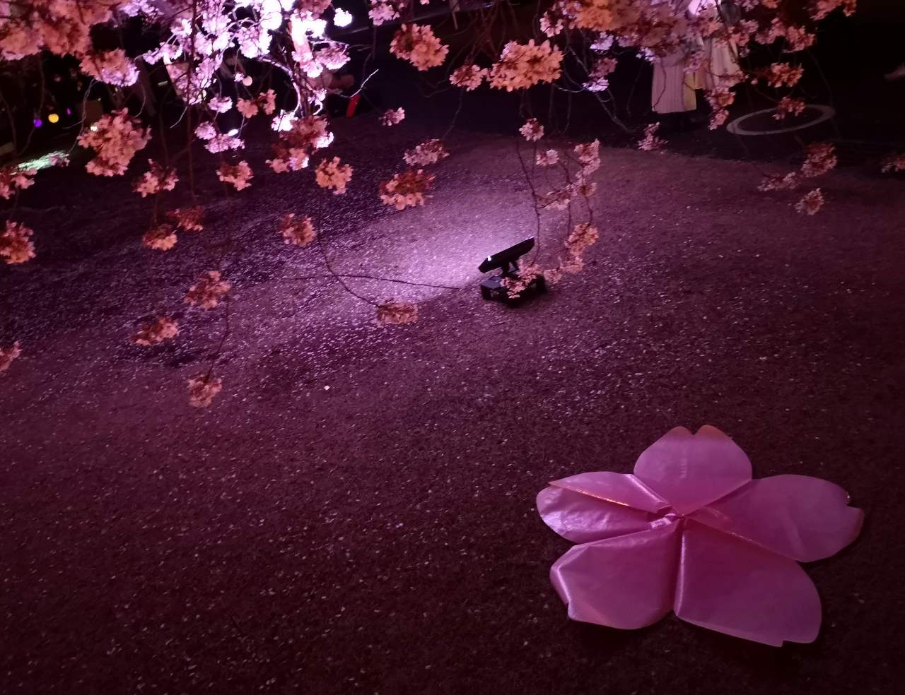 東京都新宿区・「NAKED桜の新宿御苑2023」サクラレジャーシート
